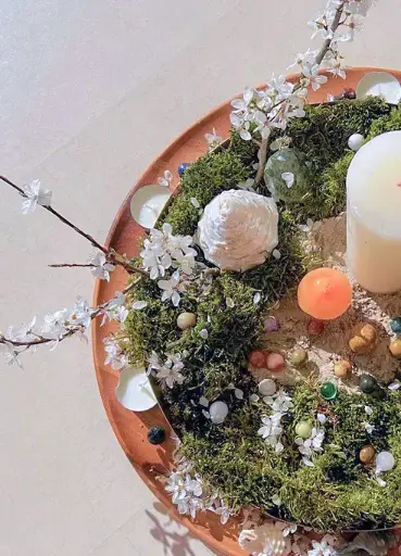 6-Day Psilocybin Retreat APRIL 20 – 25